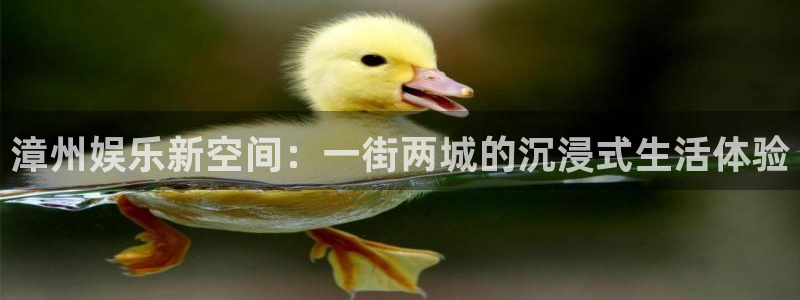 太阳成集团tyc9728：漳州娱乐新空间：一街两城的沉浸式生活体验