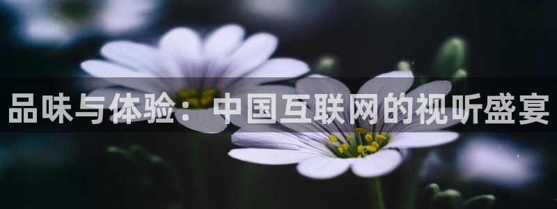 太阳成集团tyc9728：品味与体验：中国互联网的视听盛宴