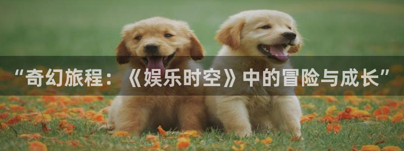 太阳成集团tyc9728：“奇幻旅程：《娱乐时空》中的冒险与成长”