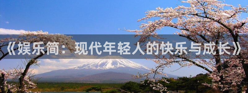 太阳成集团tyc9728：《娱乐简：现代年轻人的快乐与成长》