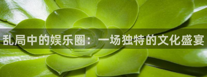 太阳成集团tyc9728：乱局中的娱乐圈：一场独特的文化盛宴