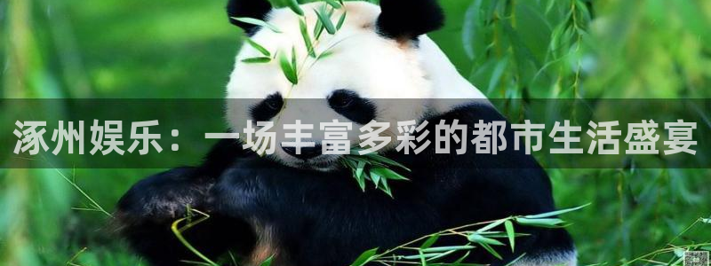 太阳成集团tyc9728：涿州娱乐：一场丰富多彩的都市生活盛宴