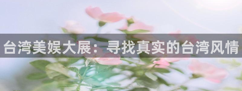 太阳成集团tyc9728：台湾美娱大展：寻找真实的台湾风情